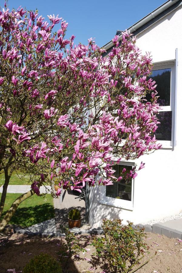 Ferienwohnung "Magnolia" Kordel Εξωτερικό φωτογραφία